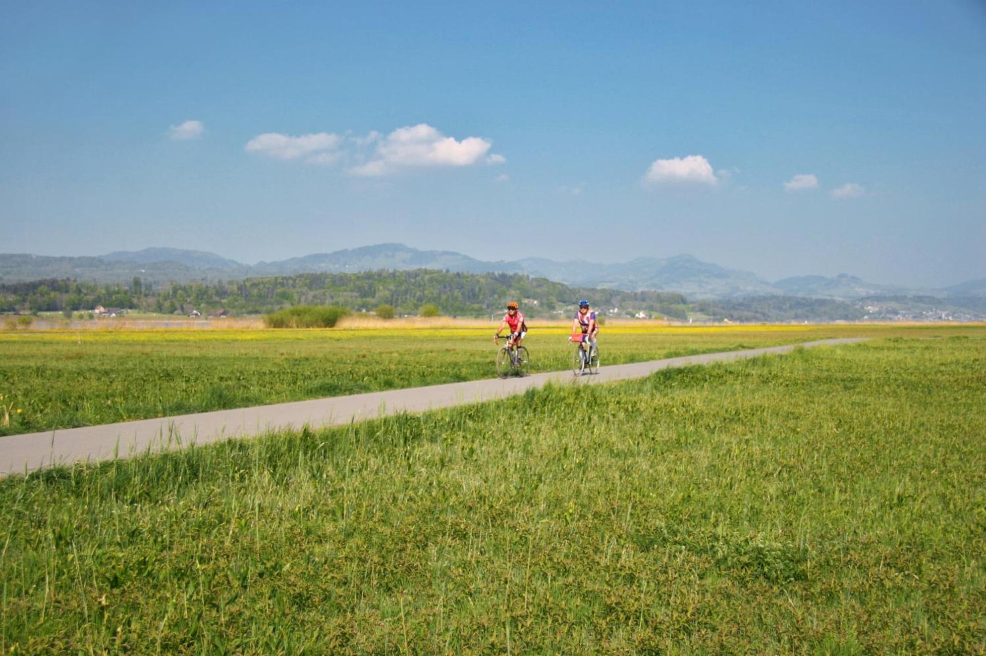 Landgasthof Zum Zimmermann Jona - Rapperswil מראה חיצוני תמונה